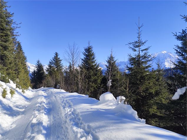 Sur le chemin en direction des Chalets de l'Avenaz - © Cordon Tourisme