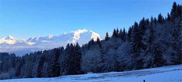 Sentier en face du Mont-Blanc - © Cordon Tourisme