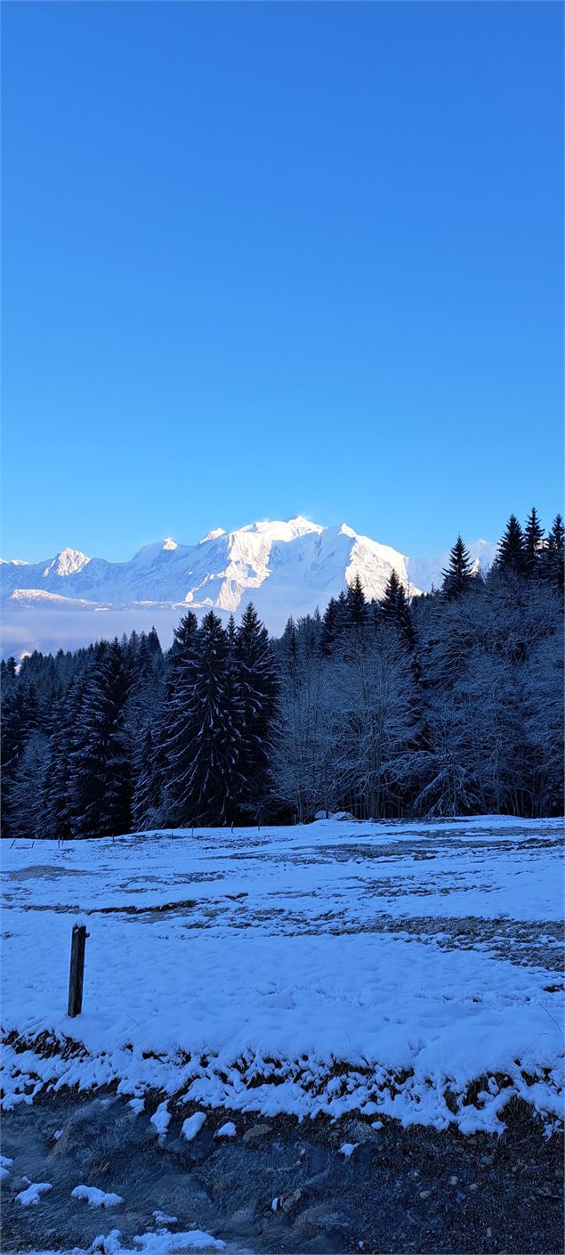 Vue du sentier sur le Mont-Blanc - Cordon Tourisme