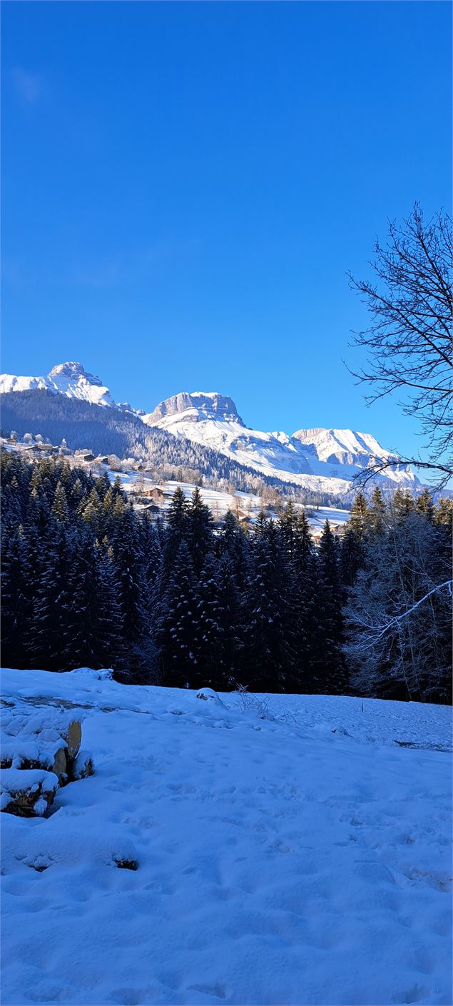 Vue sur les Aravis - Cordon Tourisme