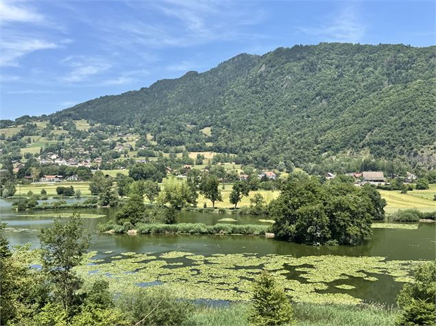 Site de pêche - Lac du Môle_Ville-en-Sallaz - Isaline Berchat