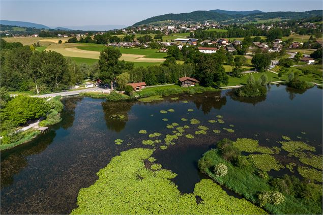 Site de pêche - Lac du Môle_Ville-en-Sallaz - Isaline Berchat
