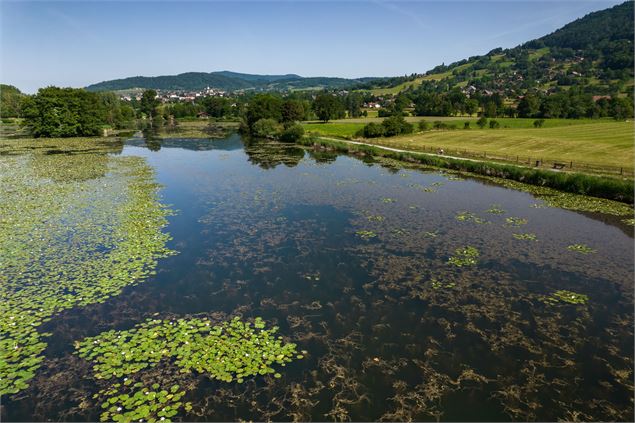 Site de pêche - Lac du Môle_Ville-en-Sallaz - Isaline Berchat