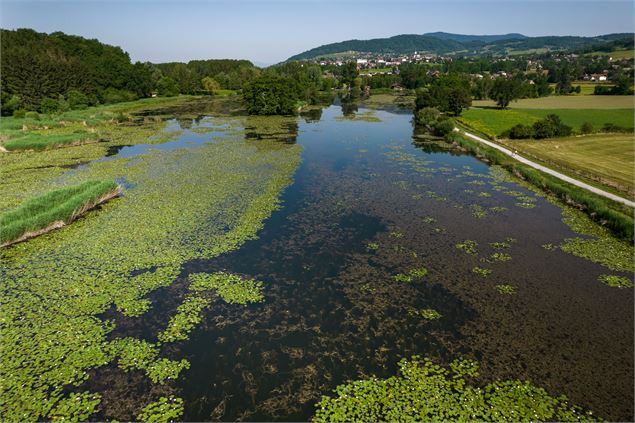 Site de pêche - Lac du Môle_Ville-en-Sallaz - Isaline Berchat