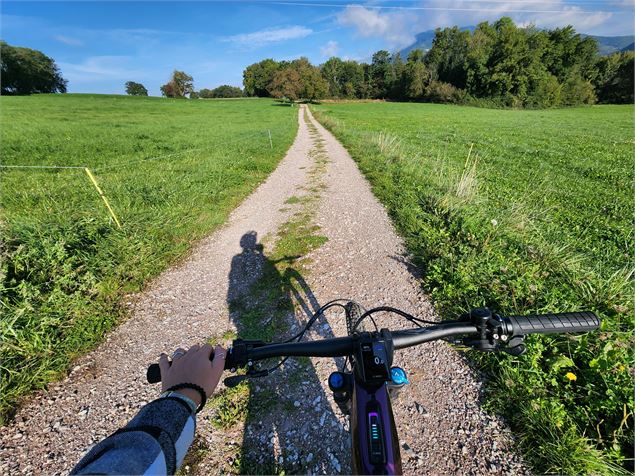 Chemin du Quart d'Avoz - solène vuagnoux