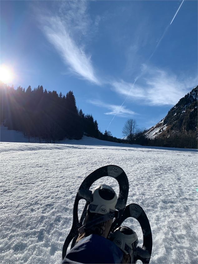 Sentier Raquettes Boucle de Bellecombe - OT Espace Glandon