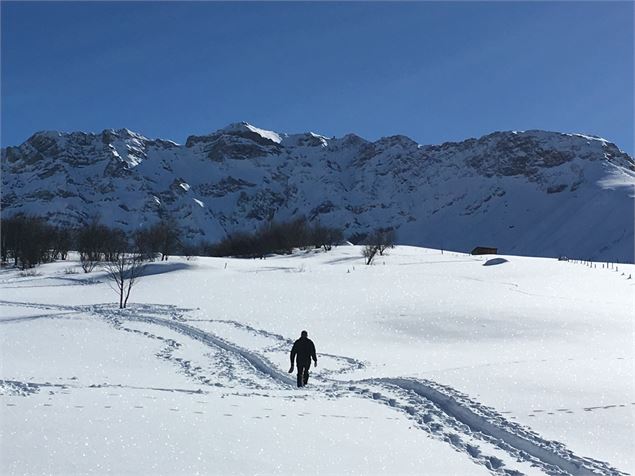 Le plateau de Montrond - Maëlle GORRE