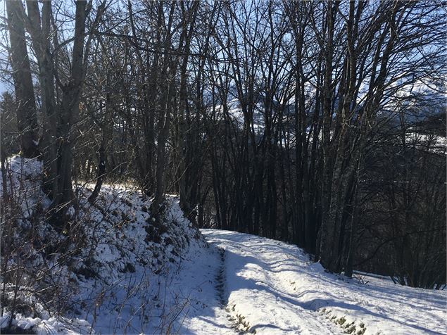 tour du pinet - Maëlle.GORRE