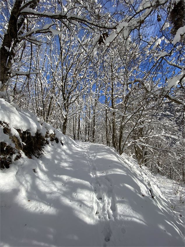 Chemin Raquette - OT Espace Glandon