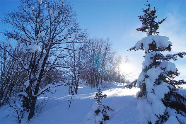Paysage d'Albiez enneigé - OTICœurdemaurienne