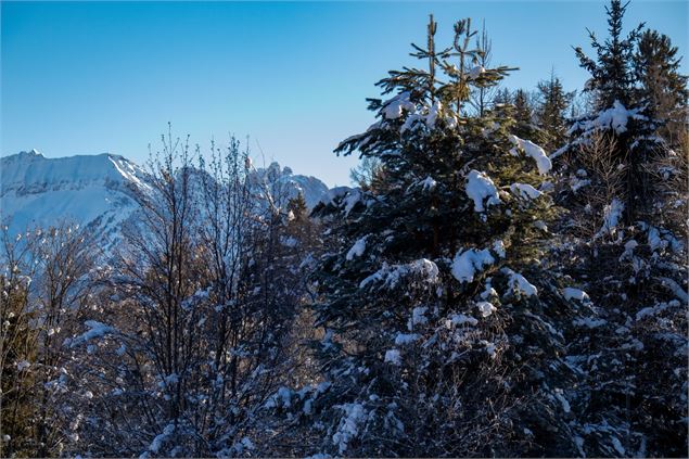 Paysage - OTICœurdemaurienne