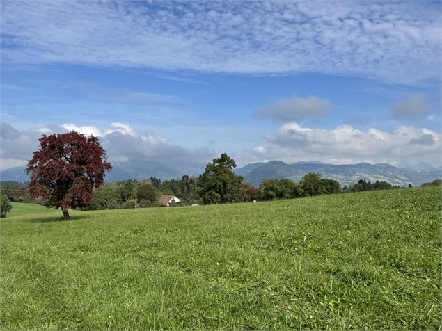 Sentier des grands prés - Christelle Becameil