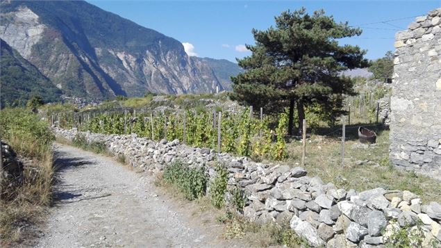 Terroir de Serpolière - OTICœurdemaurienne