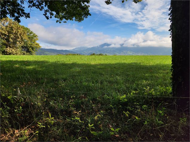 Vue sur les Brasses - Christelle Becameil