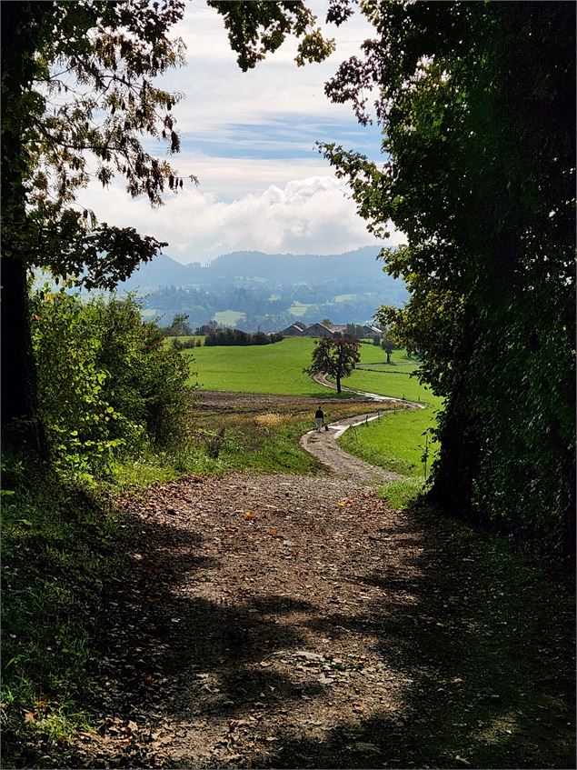 Sentier de randonnée - Les Balcons des Grands Prés - Circuit 1_Peillonnex - Christelle Becameil