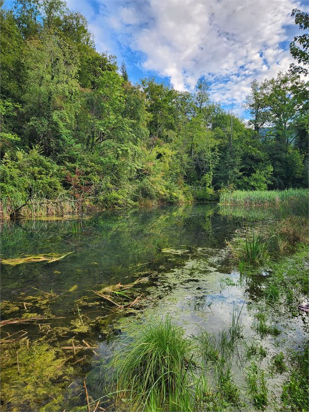 Le long du foron - arnaud lesueur