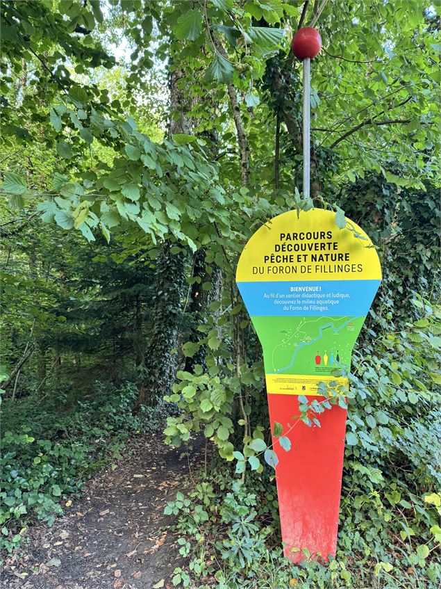 Parcours didactique du foron - arnaud lesueur