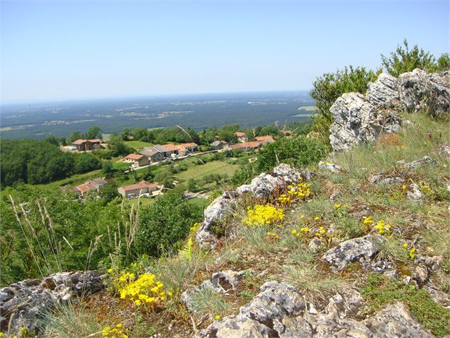 Conches_Drom - ©Marine LAUBRIAT OTBBB