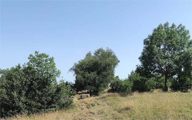 Table pique-nique Observatoire - EB - OT Monts de Genève