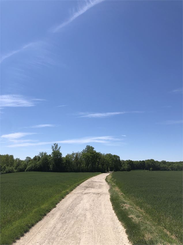 Au milieu des champs - Jules Guerle