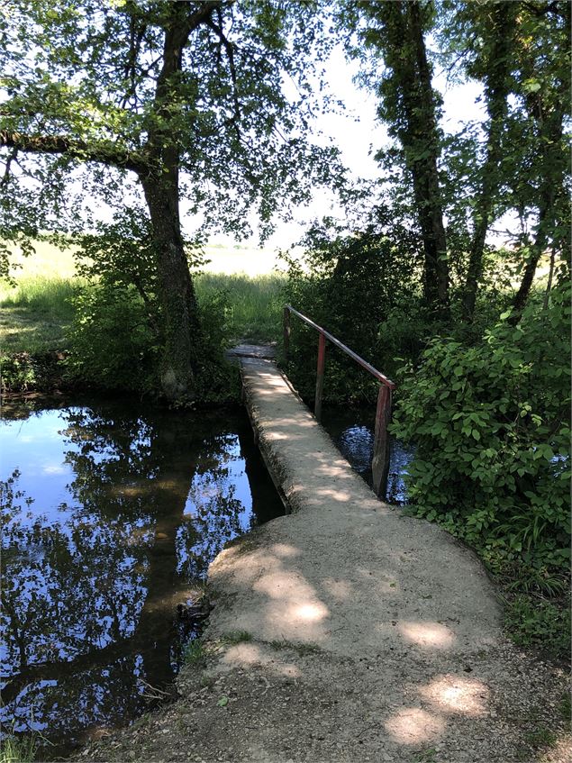 Passer au-dessus de La Versoix - Jules Guerle