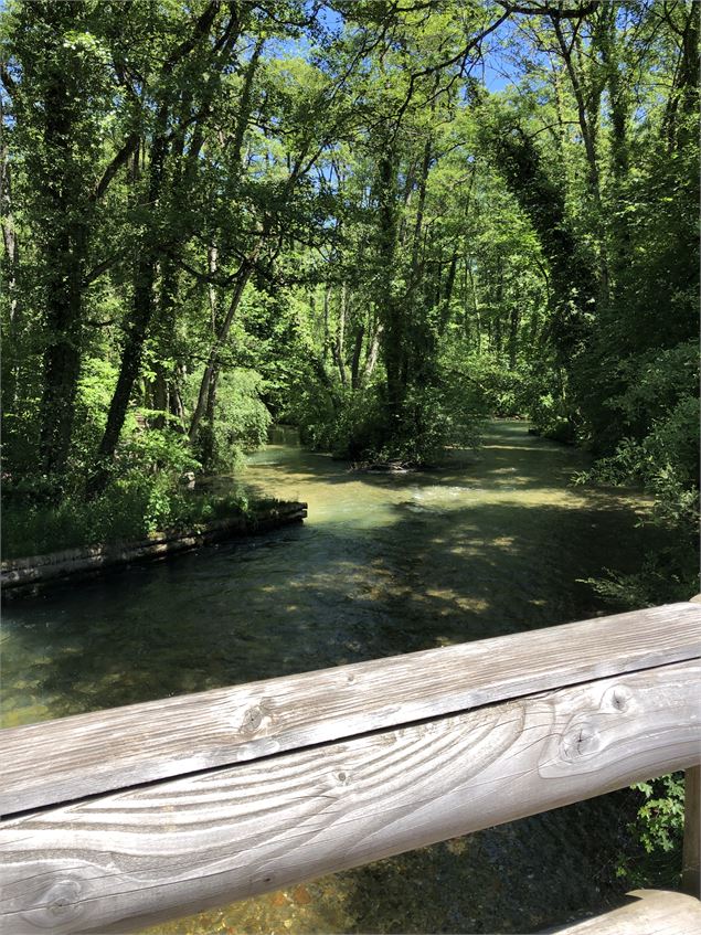 La Divonne - Jules Guerle