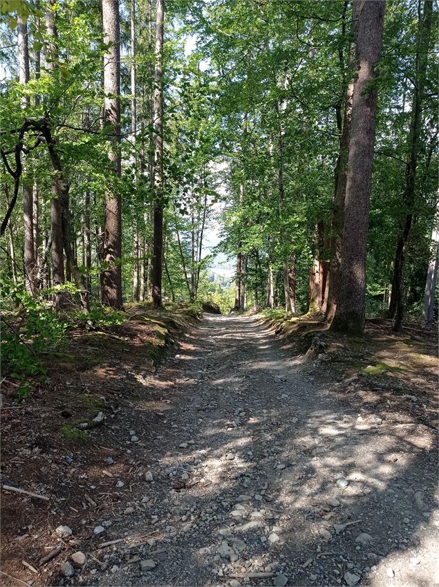 Sentier VTT : boucle du Bois de Fessy_Sallanches - Véronique Lorenzi