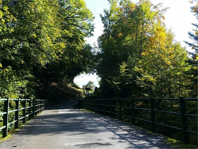 sentier VTT : boucle du Pont de la Flée_Sallanches - Véronique Lorenzi