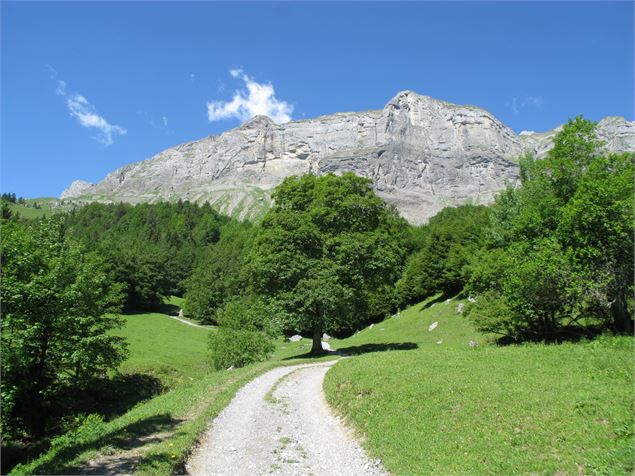 sentier VTT : les chalets de Coeur_Sallanches