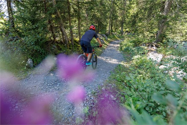 Descente enduro Grand Bois de Joux_Passy - Arnaud Lesueur
