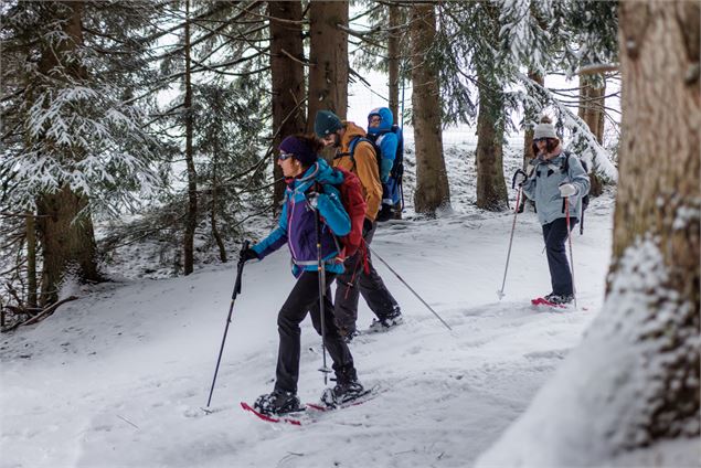 Tour des Ayères en raquettes_Passy