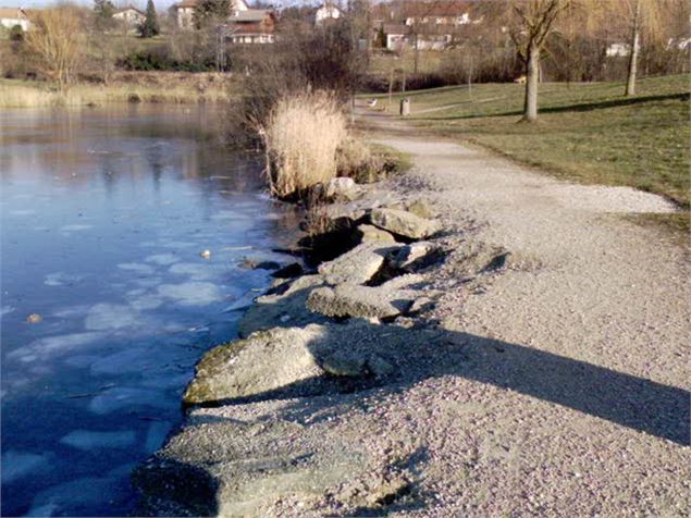 Lac de Machilly 2 - Aline Loeffer