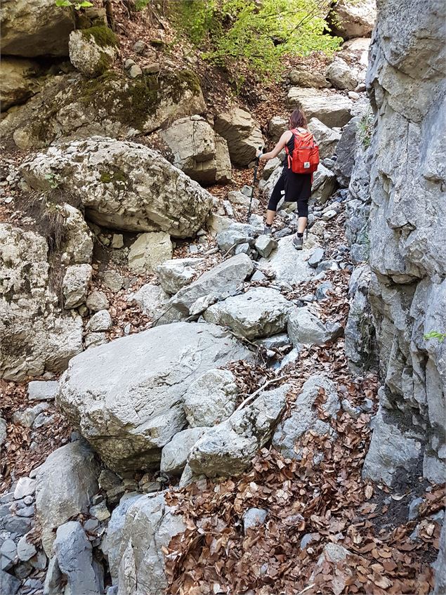 Sentier pédestre : Doran par le sentier du Gypaète