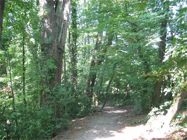 sentier des Chênes - Eric Durr