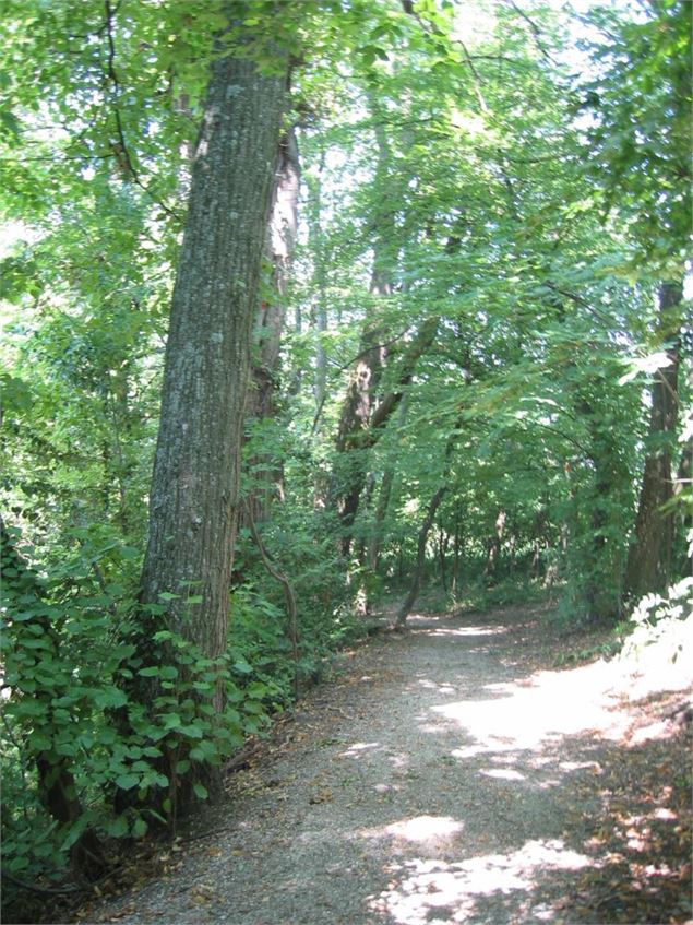 sentier des Chênes - Eric Durr