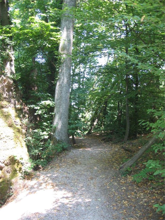 sentier des Chênes - Eric Durr