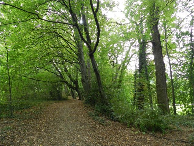 sentier des chenes - Eric Durr