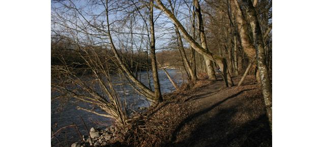 Les Bords de l'Arve - Annemasse Agglo - www.stephanecouchet.com