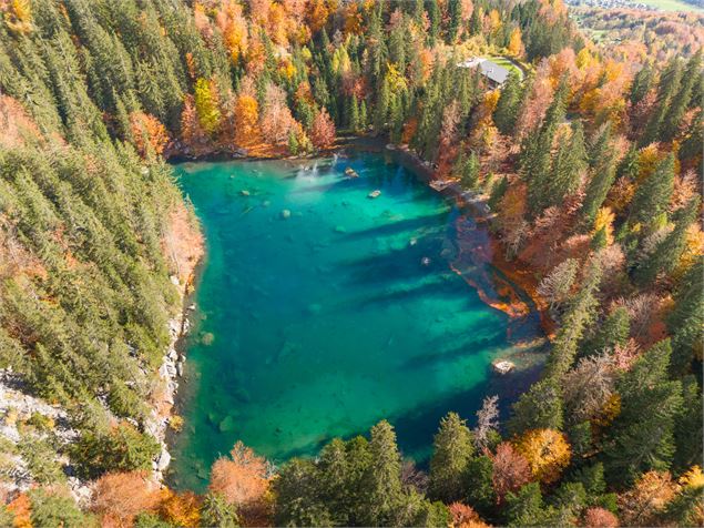 Lac Vert en automne - Arnaud Lesueur