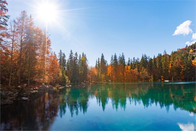 Lac vert en automne - Arnaud Lesueur