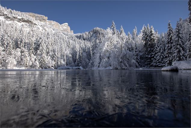 Lac Vert en hiver - Arnaud Lesueur