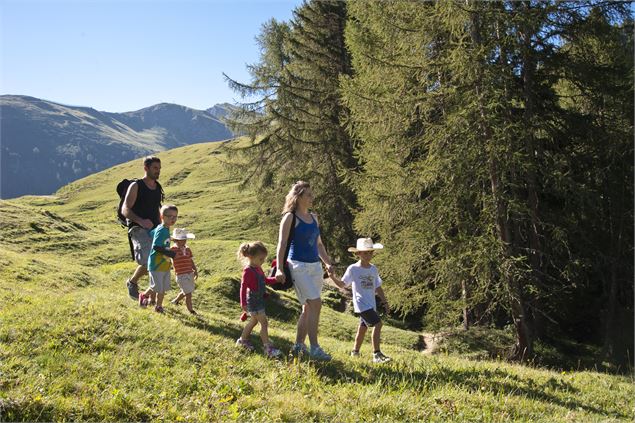 Les Alpages Enchantés - Philippe Gal