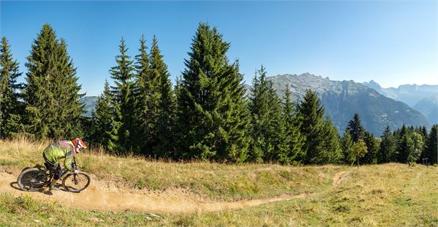 Itinéraire pédestre : balade en montagne, par télécabine, à Samoëns 1600 - Christian Martelet