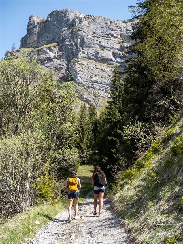 Les alpages du Lachat d'en Haut_Passy - Bichette Voyage