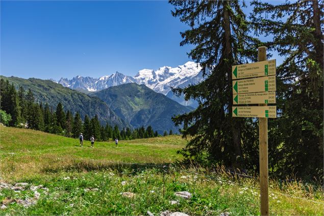 Refuge de Moëde Anterne par la piste_Passy - OT Passy