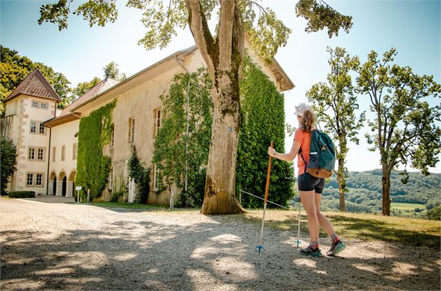 GR® 65 - Chemin de Compostelle - Chartreuse de Pomier - OT Monts du Genevois - Brice Souvansanouk