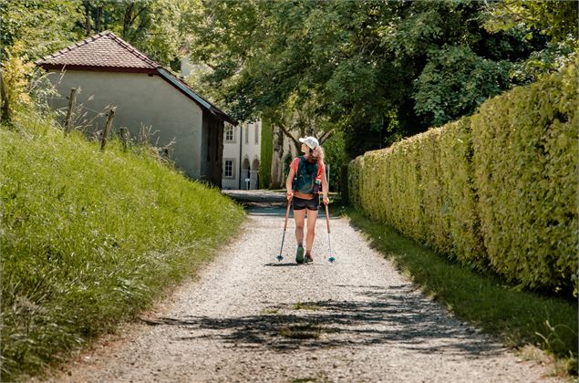 GR® 65 - Chemin de Compostelle - Chartreuse de Pomier - OT Monts du Genevois - Brice Souvansanouk