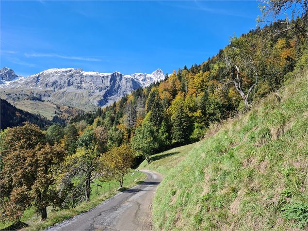 vue sur les Aravis - Wendy Coulon