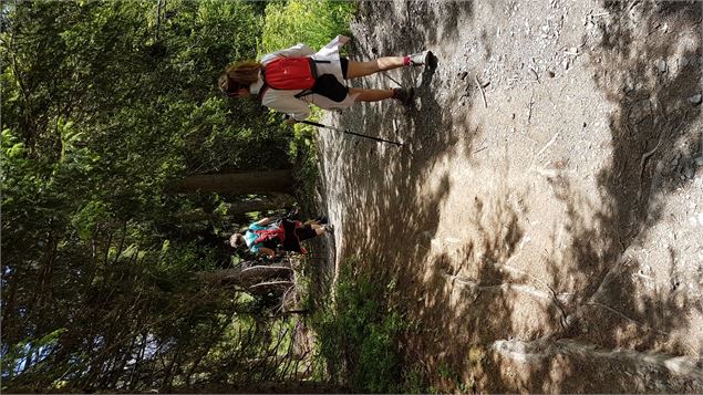 sentier pédestre : sentier forestier de Mayères