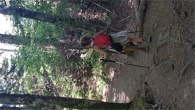 sentier pédestre : sentier forestier de Mayères